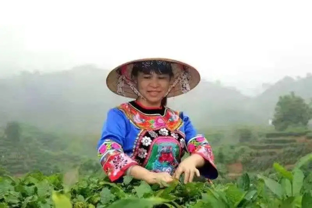 【梧州工匠】劉錦芳：鉆研和創(chuàng)新，帶領(lǐng)鄉(xiāng)親發(fā)家致富