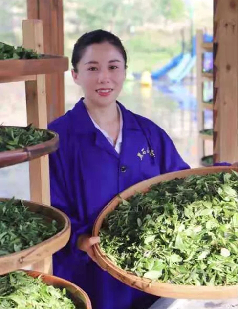 【梧州工匠】石濡菲：擇一茶，修一技，終一生