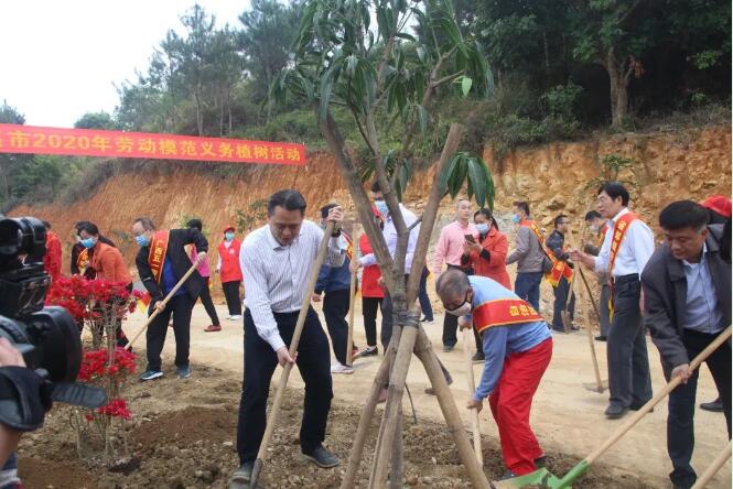 植樹造林，這群楷模這樣做