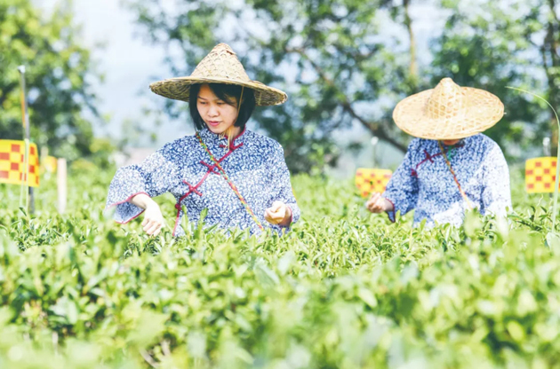國家批復(fù)同意，梧州籌建！