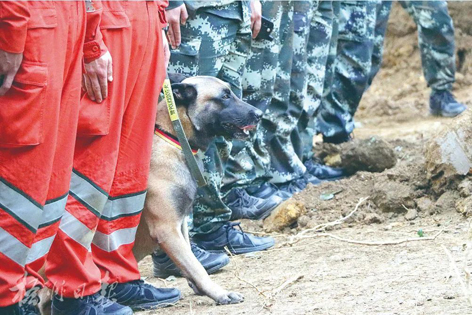 消防、武警、摩托車運輸隊等多方力量聯(lián)合搜救｜東航客機墜毀事故救援現(xiàn)場直擊