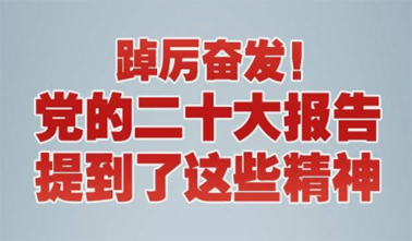 【黨的二十大】踔厲奮發(fā)！黨的二十大報告提到了這些精神