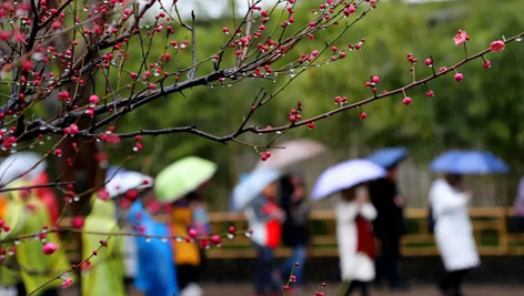 今日雨水！別忘了咱的老講究！