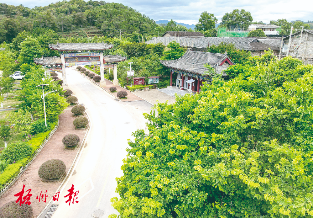 梧州全市生態(tài)茶園面積達(dá)33.34萬畝！
