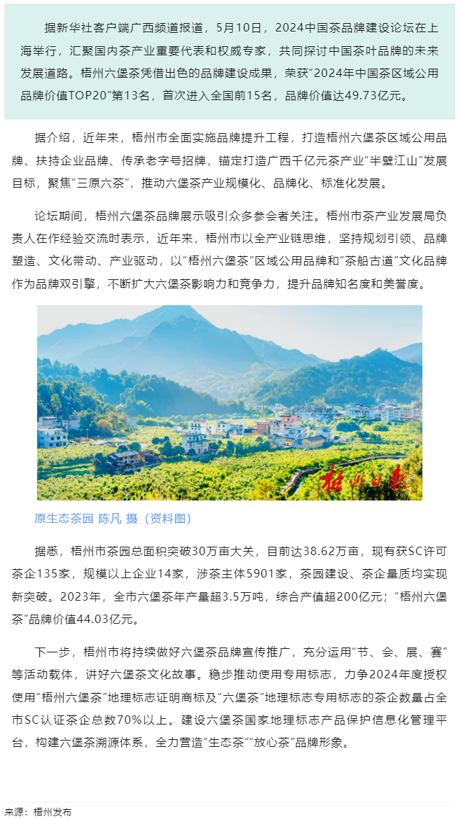排名全國第13名！“梧州六堡茶”品牌價值實現(xiàn)新突破.png